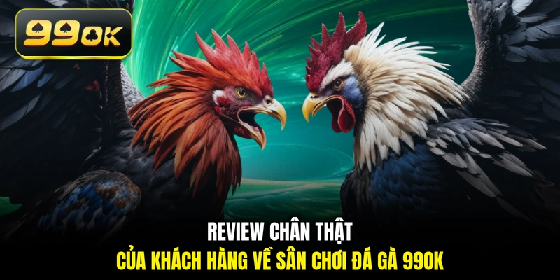 Review chân thật của khách hàng về sân chơi đá gà 99OK